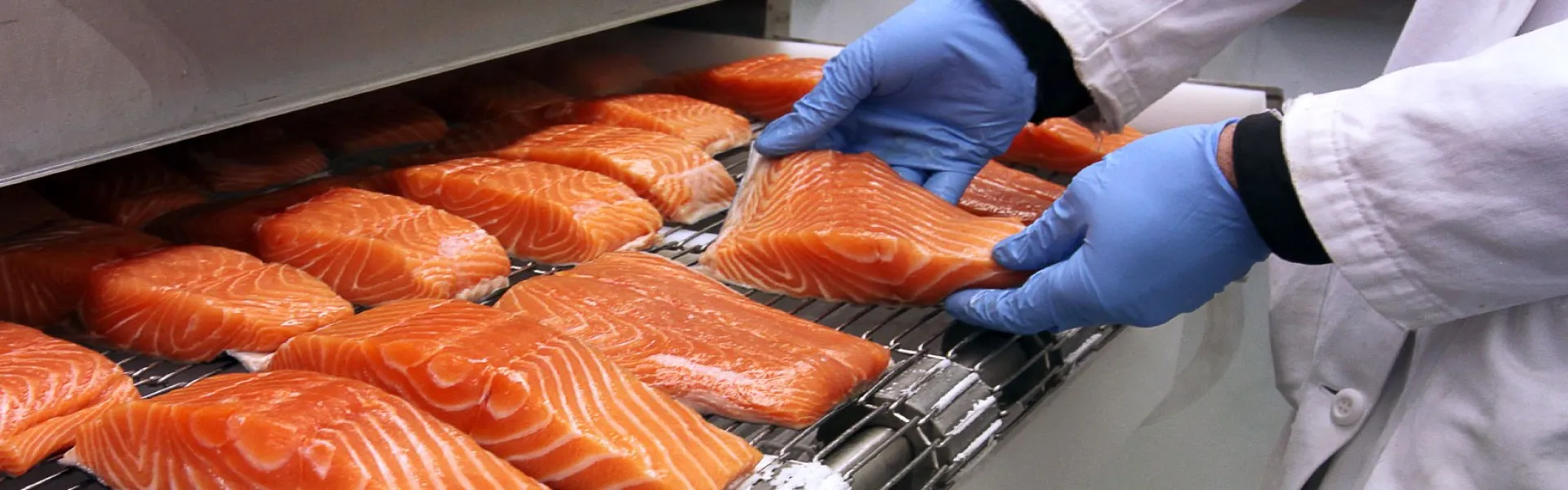 Храни_Филета от сьомга