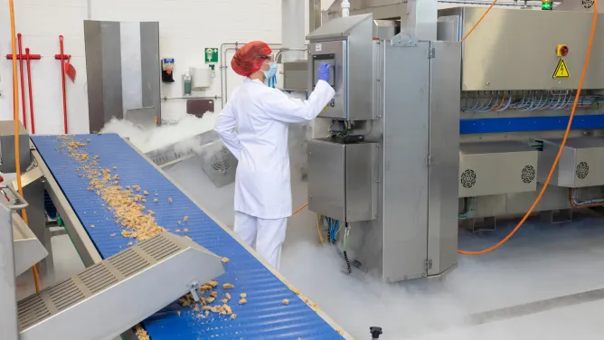 Schnelles Frosten von Fleischalternativen